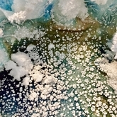 Bluing experiment